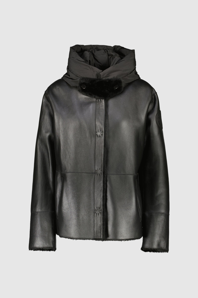 TAYLOR NOIR